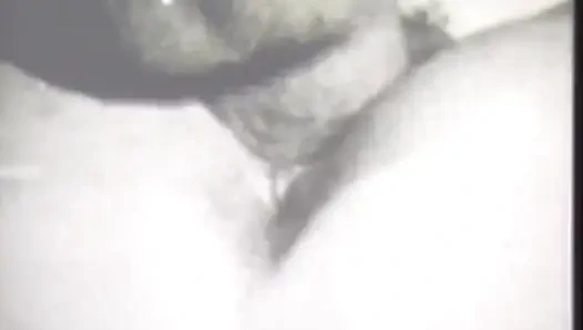 Lustaktiviertes Trio