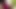 Horny Cutest Hot Ladyboy Big Tits Very Exciting Solo Huge Hard Cock Masturbation Vol 3