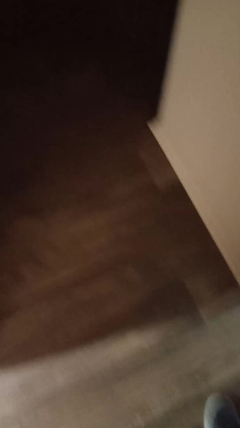 私の最高の影の人形はヘビです