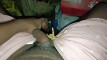 Pratinjau video