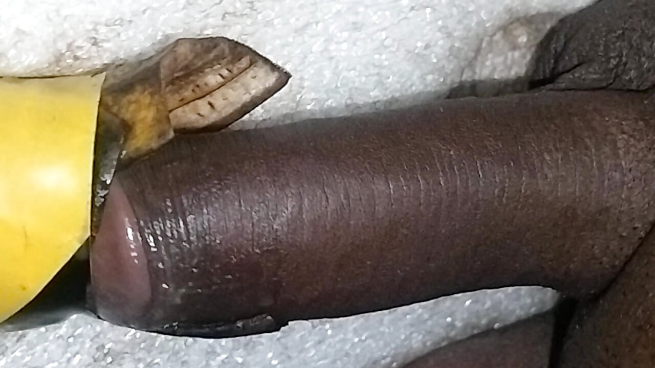 Beauty Cock