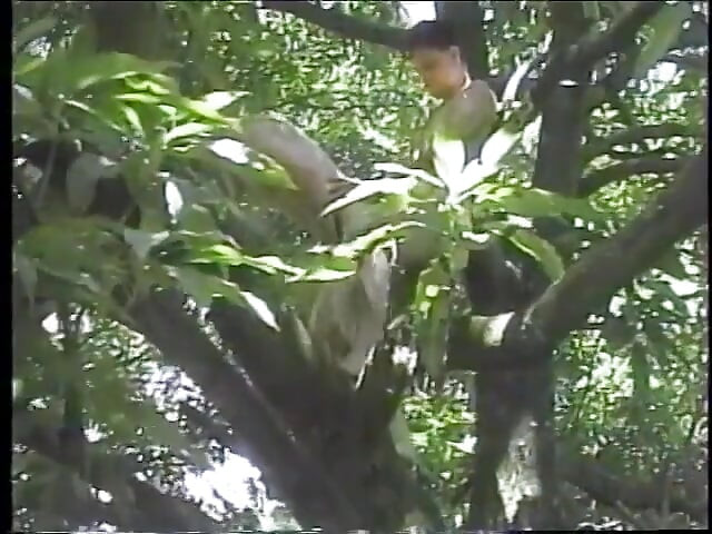 Horny guy taking dick in his ass and gives BJ in a tree and gets creamed