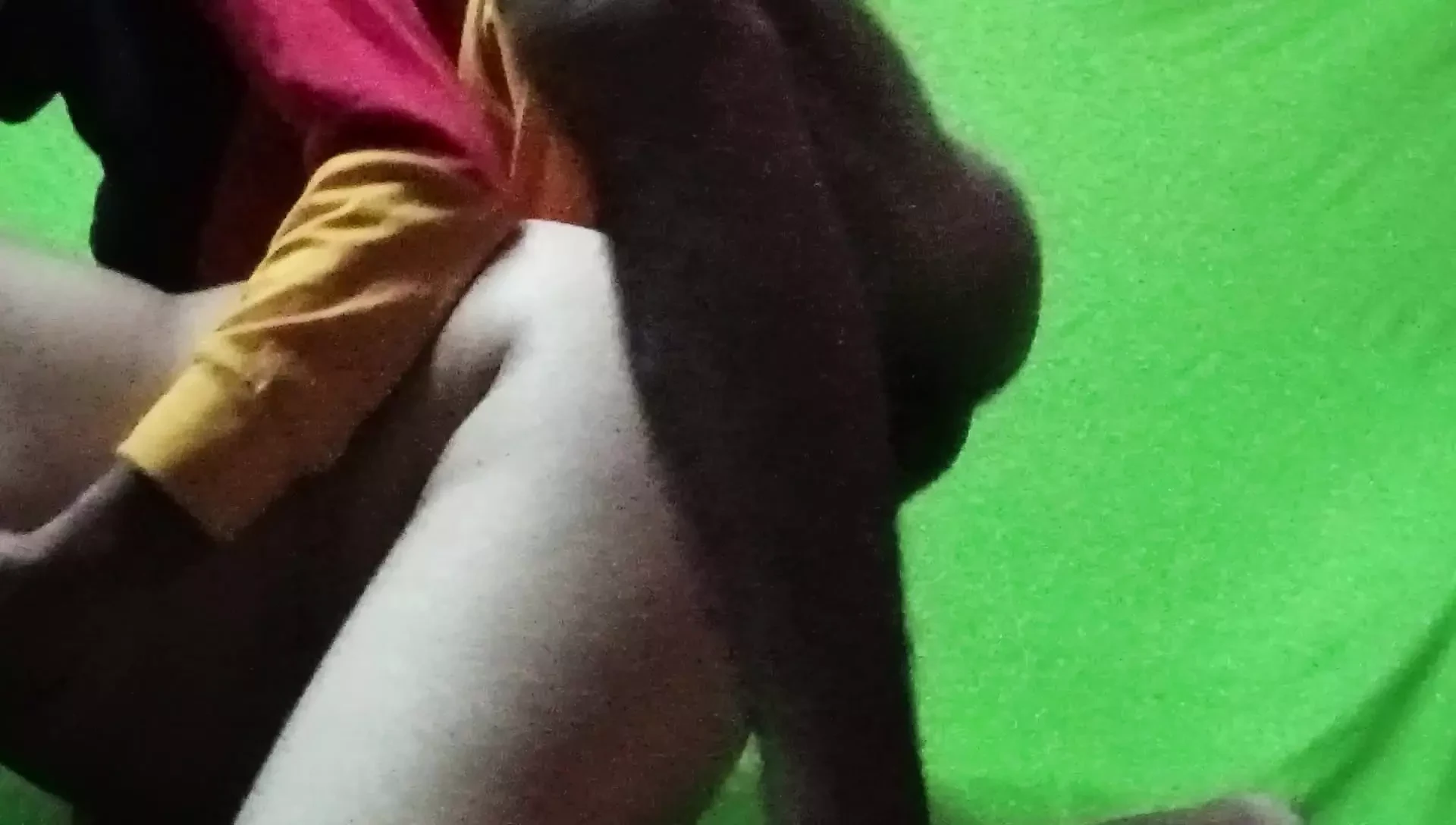 indian bhabhi xxx video desi bhabhi sexual video
