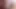 Afroditafleur web kamerası travesti
