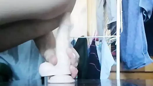 17 cm (2)