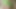 Behandelt cumshot, ladyboy, süßer schwanz, spermaschlucken