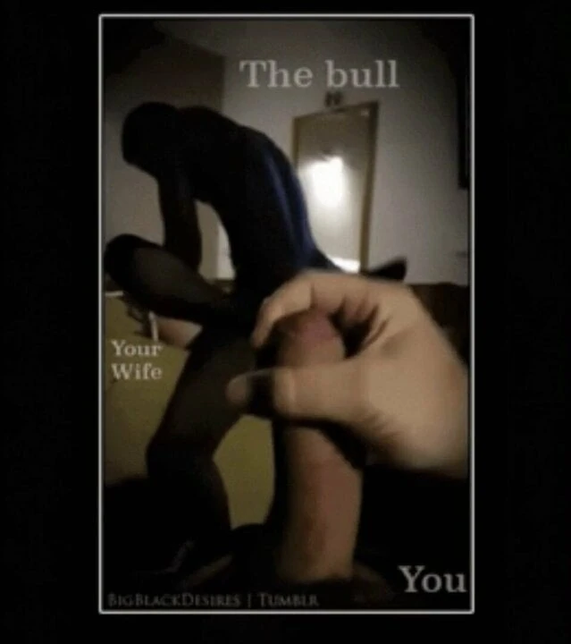BBC Bull
