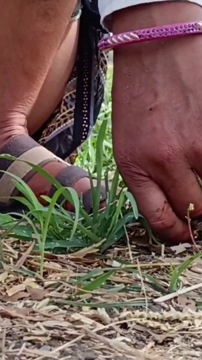 Cutting fodder on the outdoor field, sister-in-law urinating, brother-in-law saw it, brother-in-law made a mod and made a hut to sister-in-law, rubbed and left the kahar. | Clip 1