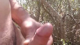 Jerking and cum in the woods