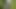 Blonde Babe Pisses Wild Closeup