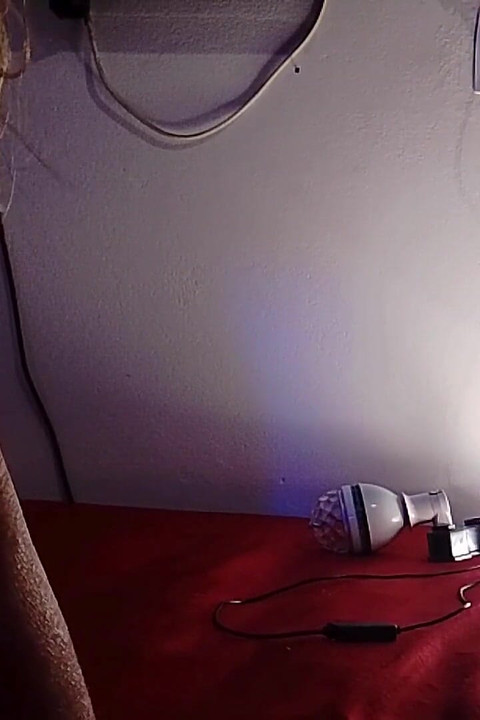 He Left Everything in the Scheme.