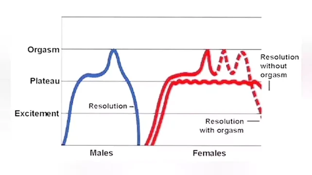 The ultimate guide to multiple orgasms in men