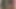 ナースダンサー