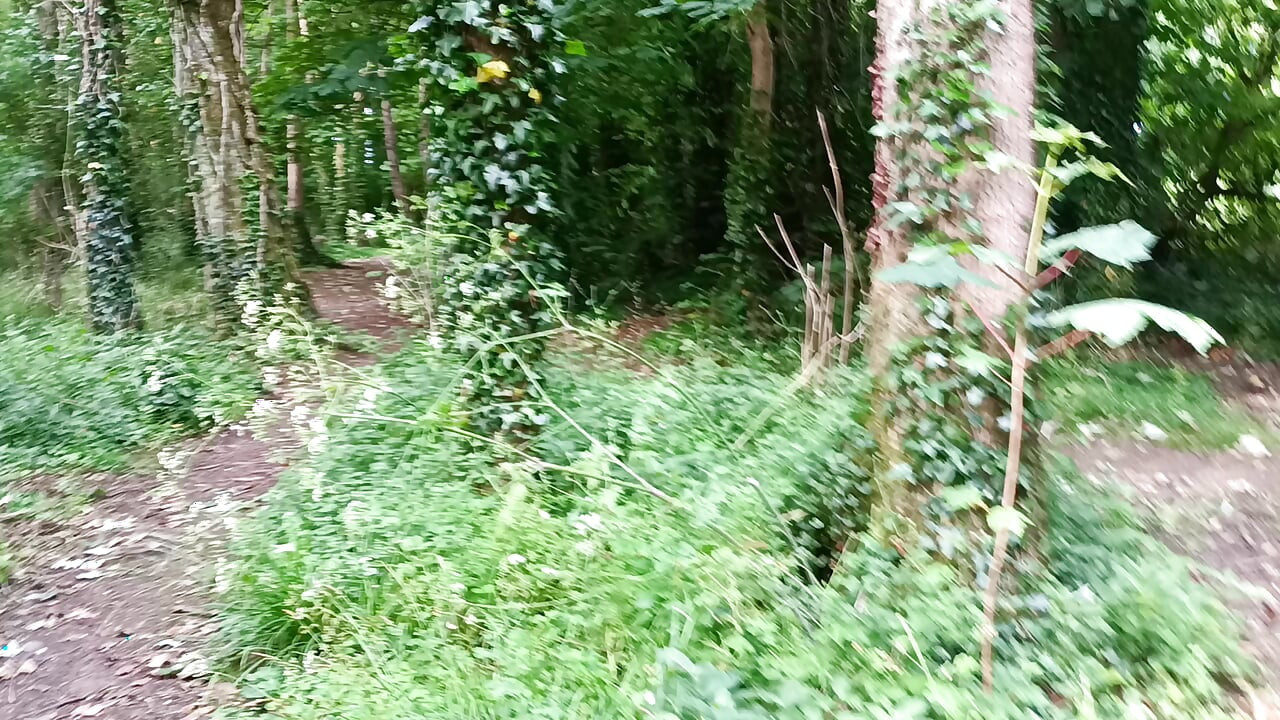 Big Uncut Cock Out Walking, Pissing, Wanking in the Woods Wearing Cords - Rockard Daddy