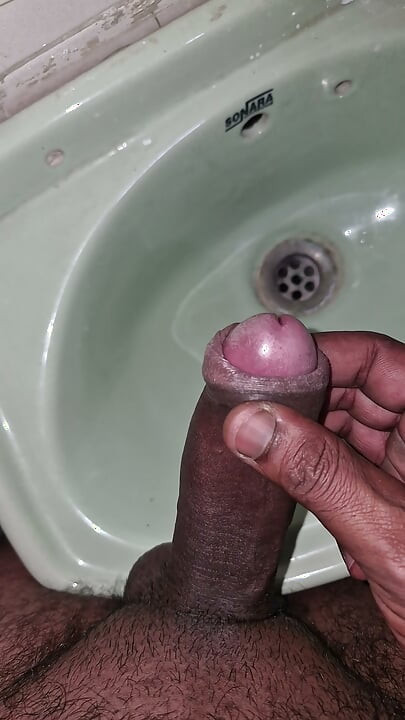 Indian cock