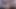 pmv lily