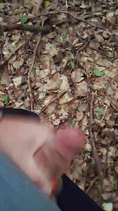 Tekanan dilepaskan di hutan