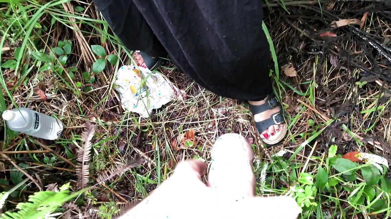 Jungle adventures