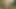 Jebač - Amazonke