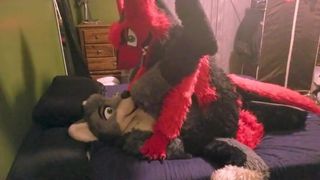 Fursuit sesso bollente