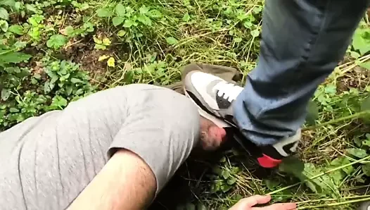 Sneakers cleaning