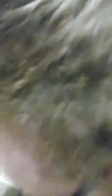 Fat BBW piggy eating burger off the floor hands-free