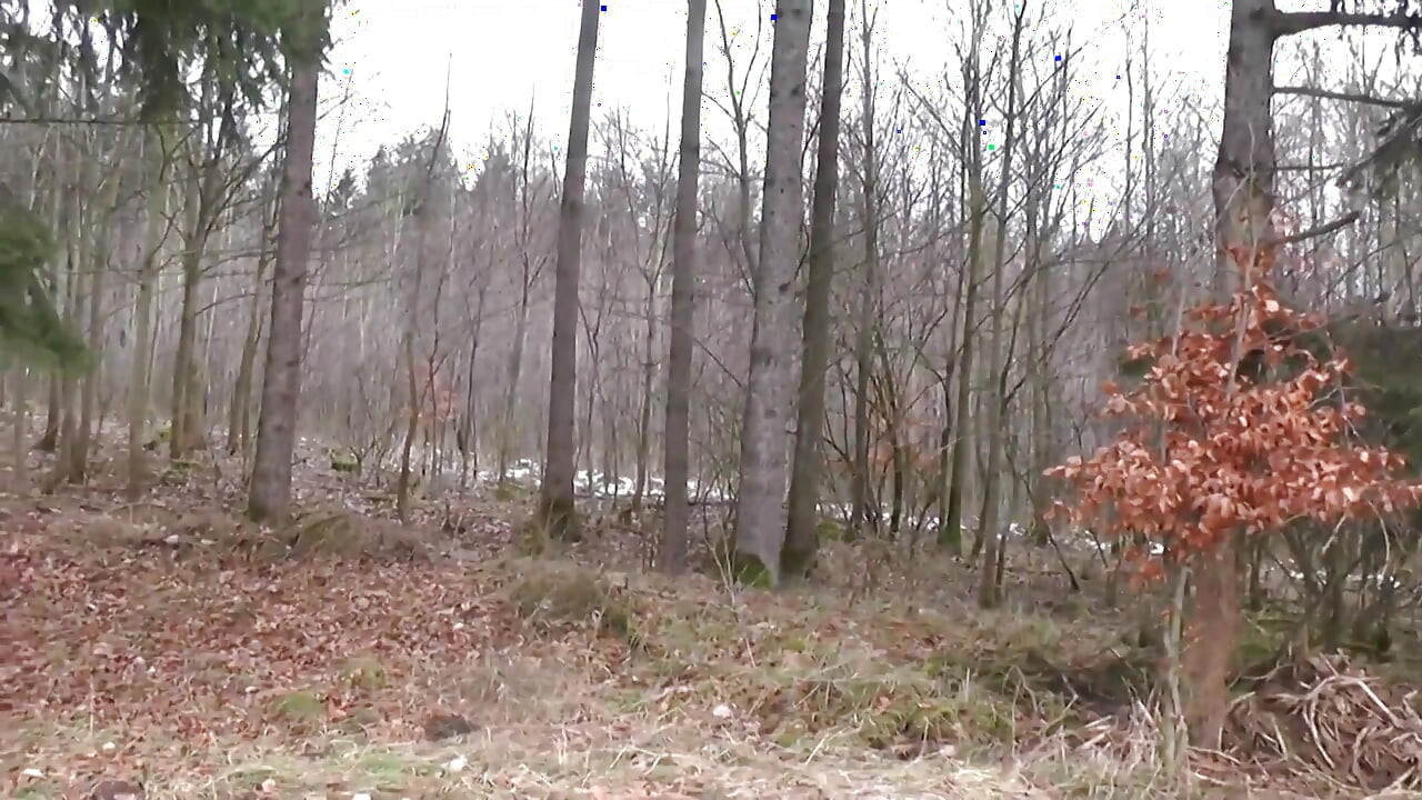 Julia Pink - Drømme går i opfyldelse - Del 4