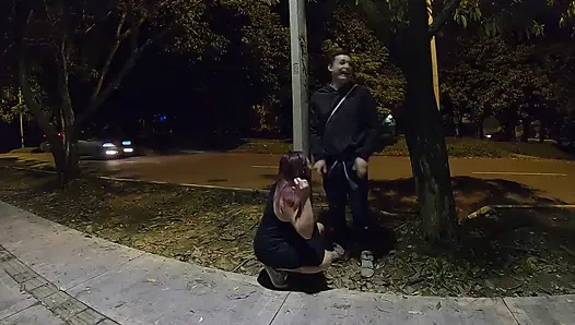 Wanita dewasa nyepong kontolku di taman umum