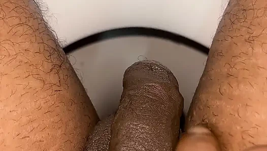 Sri Lankan penis