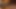 Close-up of grandpa's balls and the penetration of his 50 cm long black dildo