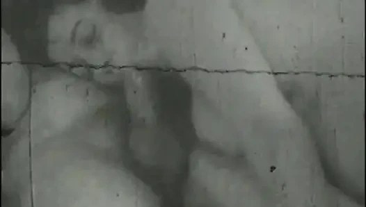 Daha Fazla Horoz Arzusu