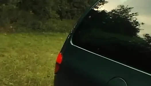 Granny sucks a chunky cock then gets fucked in the bushes