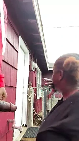 EATING DAT BIG YOUNG YOUNG DICK UP IN THE BACKYARD