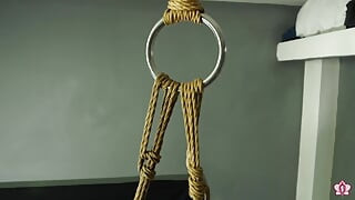 Clips4Sale