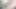 Британская птица-Snapchat - часть 1