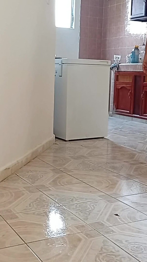 I left the cell phone recording while the lady did the cleaning in apartment 3 | Clip 2