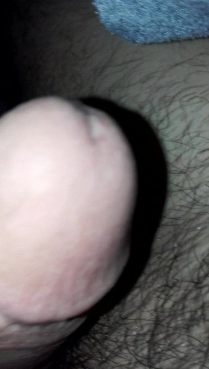 Penis