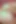 Pussie Sweets sahne 2_brunette bikinili genç layla büyük yarak ve şeker tarafından sikiliyor