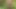 jerk off in the park. Gay cruising in medellin . Big cumshot