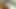 Mısırlı milf (orta yaşlı kadin) bindi gibi bir