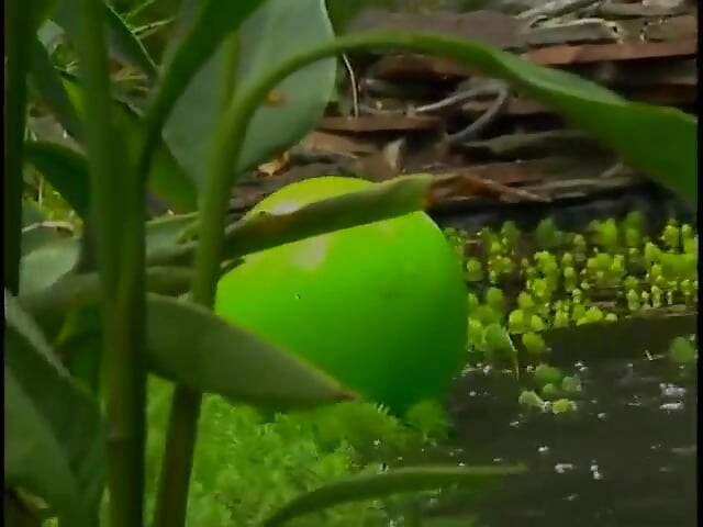 Nasty slut pussy licked and fucked