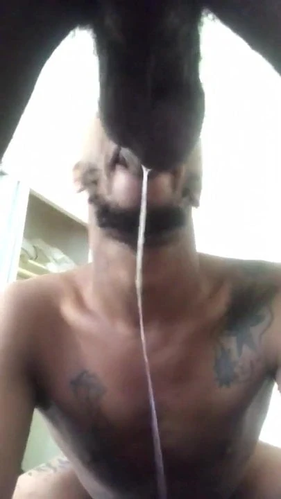 Good Sloppy Head