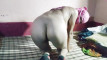 Pregled videozapisa