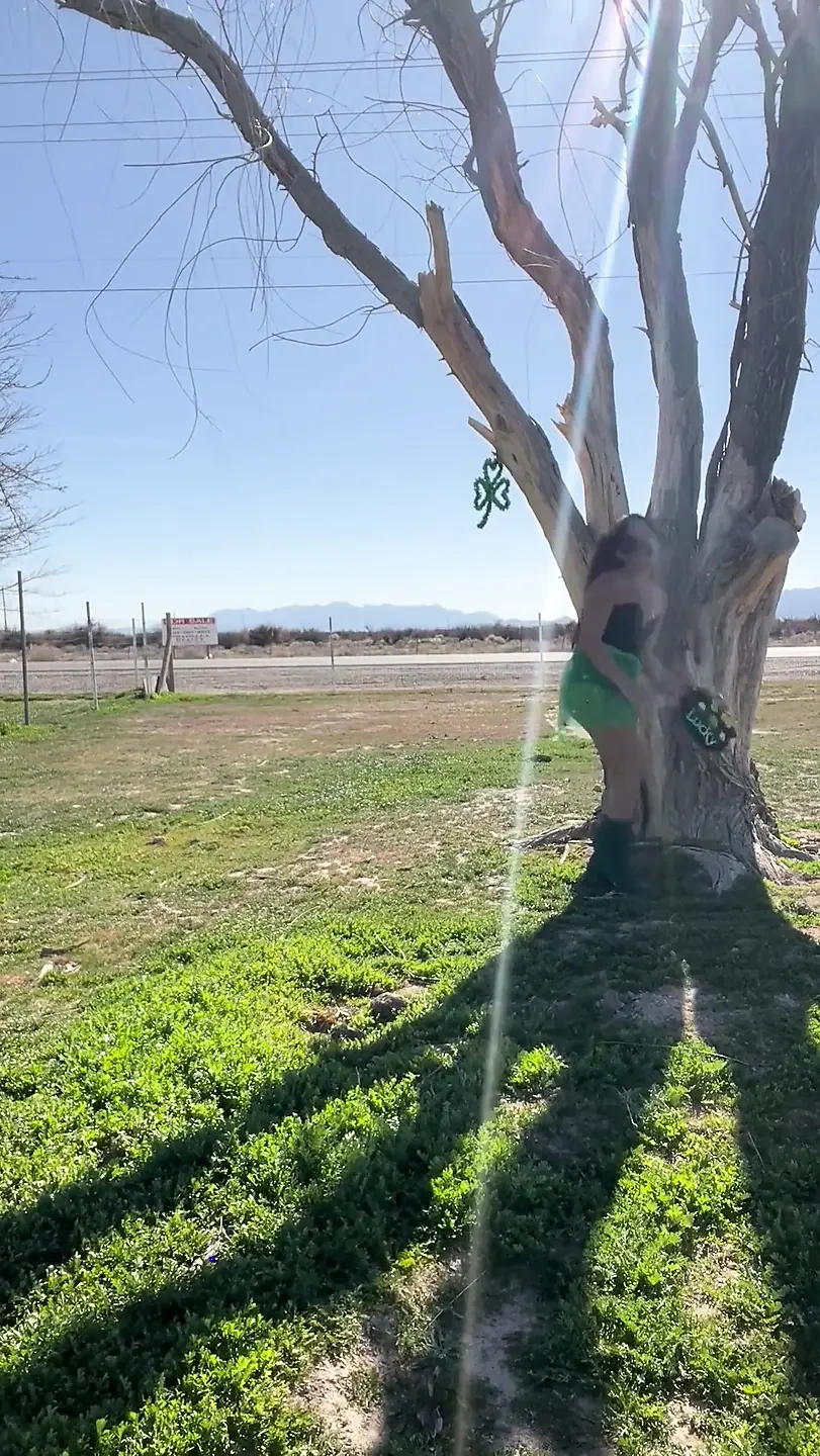 幸运的Leprechauns甜蜜幸运魅力