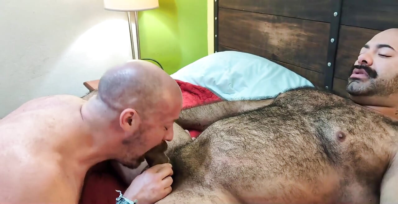 Muscle Bears Fucking Hard