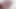 Juicy Anus Squirts, Swallowed Sex Toy - Special