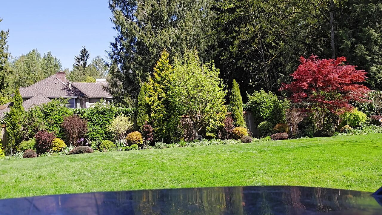 Lawn Service