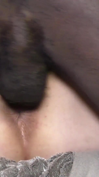 Jaw-dropping moment from "Big Black Cock Sofa Threesome"
