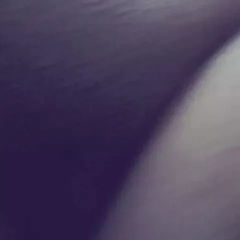My ass and boobs