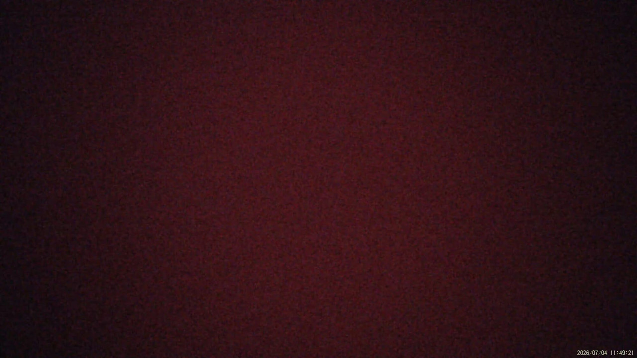 She Turns a dick Into a Cute Little Performance